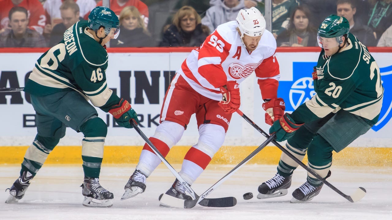 Nyquist's goal gives Red Wings 3-2 win over Wild
